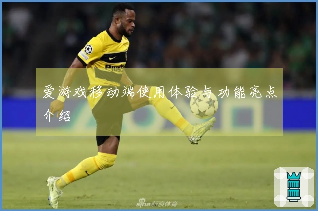 爱游戏移动端使用体验与功能亮点介绍