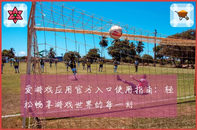 爱游戏应用官方入口使用指南：轻松畅享游戏世界的每一刻